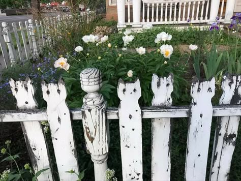 White Picket Fence, Future Apartment, Picket Fence, Fluttershy, Thrift Shopping, Dream House Decor, Instagram Page, You Never Know, House Inspo