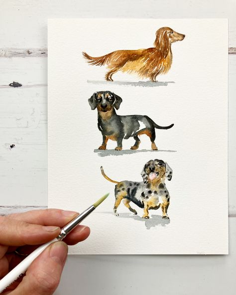 Watercolor Weiner Dog, Wiener Dog Watercolor, Sausage Dog Watercolour, Watercolor Dachshund Painting, Dachshund Painting Acrylics, Watercolour Dachshund, Dachshund Sketch, Watercolour Dogs, Cute Watercolor Animals