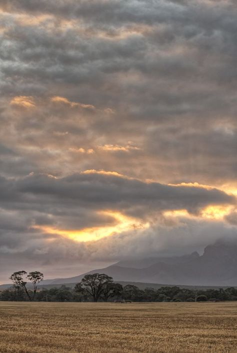 Bluff Knoll in Stirling Range, Western Australia. Bluff Knoll, Albany Western Australia, Western Australia Travel, Gibb River Road, Australian Photography, Wilderness Camping, Outback Australia, Travel Australia, Northern Territory