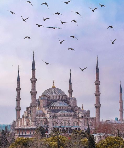 Blue Mosque Turkey, Sultan Ahmed Mosque, Sultan Qaboos Grand Mosque, Blue Mosque Istanbul, Turkey Places, Istanbul Turkey Photography, Live Screen, Travel Turkey, Sheikh Zayed Grand Mosque