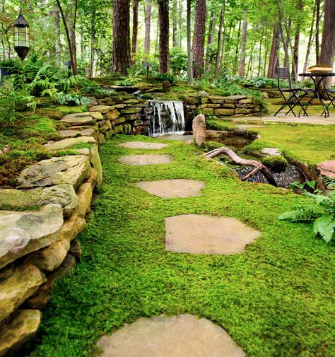 Moss Lawn, Growing Moss, Moss Garden, Ground Cover Plants, Have Inspiration, The Secret Garden, Woodland Garden, Green Forest, Garden Stones