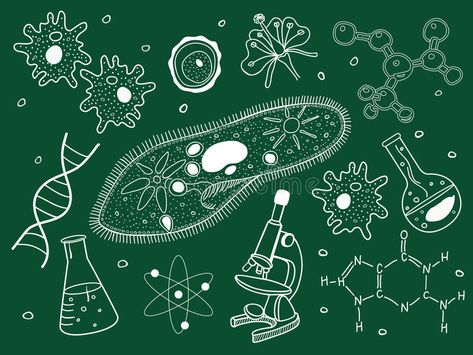 Biology icons on school board. Biology sketches on school board , #AFFILIATE, #icons, #Biology, #school, #sketches, #board #ad Biology Sketches, Biology Background, Biology Drawing, Science Clipart, Plant Pathology, Science Decor, Labs Art, Science Icons, Science Background