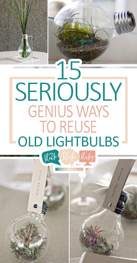 15 Seriously Genius Ways to Reuse Old Lightbulbs • My Blah Blah Blahg Recycled Light Bulbs, Diy Light Bulb, Repurpose Projects, Recycling Projects, Light Bulb Crafts, Small Terrarium, How To Recycle, Hanging Vases, Old Lights