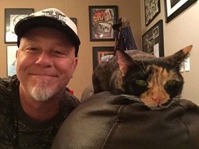 James Hetfield and his cat Frankie is hot James Metallica, Celebrities With Cats, Metallica Art, Jason Newsted, Kirk Hammett, James Hetfield, With My Friends, Four Horsemen, New Rock