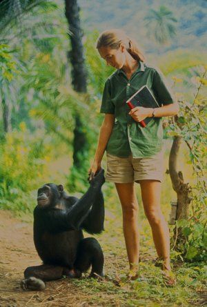 Dr. Jane Goodall: Being a Woman Was Crucial to My Success in a Male-Dominated Field Wildlife Biologist, Jane Goodall, Work With Animals, Wildlife Conservation, Zoology, Primates, Wildlife Photography, Tanzania, National Geographic