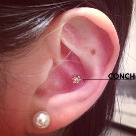 Outer Conch Piercing Ideas, Conch Piercing Stud Simple, Uneven Piercings, Inner Conch Piercing Studs, Delicate Piercings, Crazy Piercings, Outer Conch Piercing, Conch Piercing Stud, Inner Conch Piercing