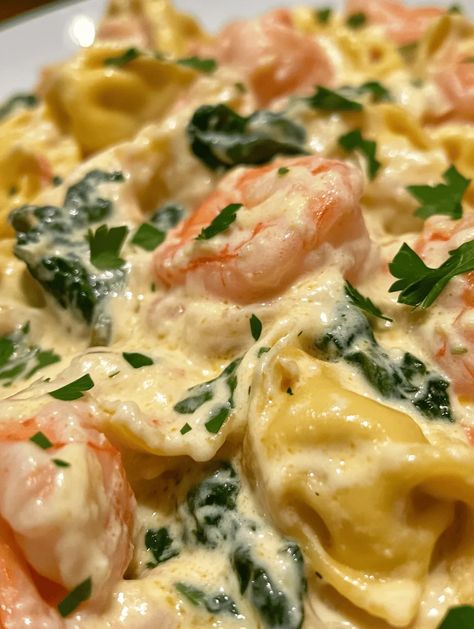 Imagine a plate of tender tortellini lovingly enveloped in a luscious, creamy sauce, balanced perfectly with succulent shrimp and vibrant spinach. Introducing Creamy Shrimp Tortellini Delight—a dish that takes less than 30 minutes to prepare and is sure to impress your family and guests alike! This creamy, rich recipe is a crowd-pleaser that merges comfort food with a splash of gourmet appeal. ... Creamed Spinach Tortellini With Shrimp, Creamy Shrimp Tortellini Alfredo, Shrimp With Ravioli, Creamy Shrimp Tortellini Recipes, Tortellini With Shrimp Recipes, Seafood Tortellini Recipes, Shrimp And Tortellini Recipes, Shrimp Tortellini Recipes, Shrimp Spinach Alfredo