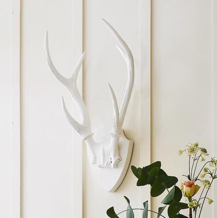 Horn Ideas, Decorating With Antlers, Mounted Antlers, Antler Rack, Antler Ideas, Painted Antlers, Deer Trophy, Antler Decor, Deer Decor