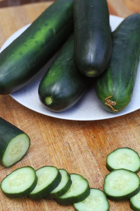 Grow Your Own Cucumbers — Apartment Therapy How To Grow Cucumbers, Cucumber Seedlings, Grow Cucumbers, Homemade Facial Mask, Cucumber Plant, Growing Cucumbers, Organic Compost, Building Projects, Growing Fruit