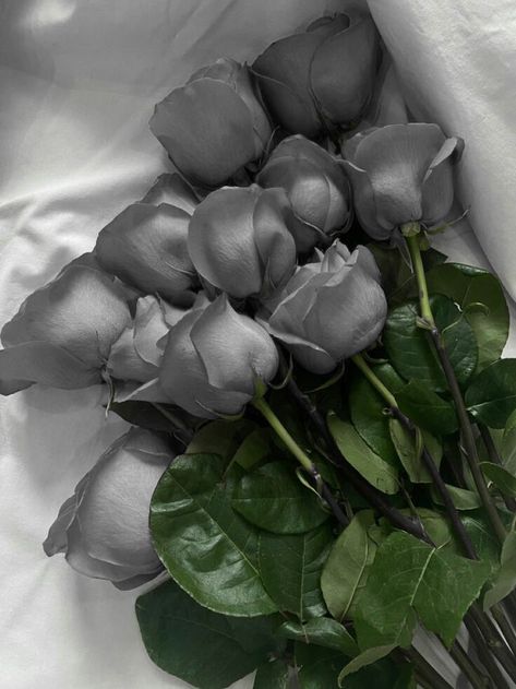 Pretty Flowers Pictures, Gala Themes, Boquette Flowers, Gray Aesthetic, Grey Flowers, Grey Roses, Flower Therapy, Flowers For You, Luxury Flowers