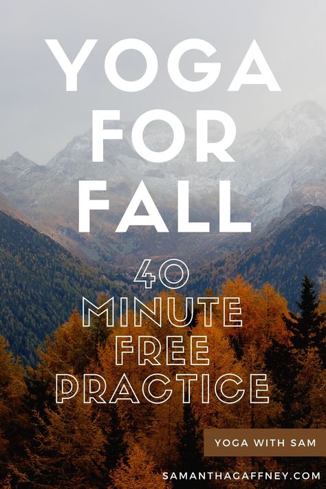 Flow into fall with this 40-minute free yoga practice! A combination of vinyasa flow and yin yoga, this yoga class will get you into the mood for autumn! #yoga #onlineyoga #vinyasayoga #autumnyoga #fallyoga #yogaforfall #yogaforautumn #yinyoga #yogaforbeginners #yogaflow #yogaathome #homefitness #wellness #selfcare #youtubeyoga Thanksgiving Yoga, Autumn Yoga, Wellness Selfcare, Yoga Pictures, Vinyasa Flow, Free Yoga, Yoga At Home, Online Yoga, Yin Yoga