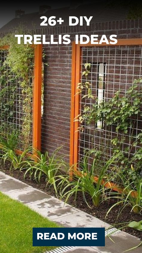 26+ DIY Trellis Ideas Lattice Garden Ideas, Trellis Wall Ideas, Trellis On House Wall, Tall Trellis Ideas, Arbor Trellis Ideas, Trelisses Trellis Ideas Diy, Door Trellis Ideas, Unique Trellis Ideas, Cheap Trellis Ideas