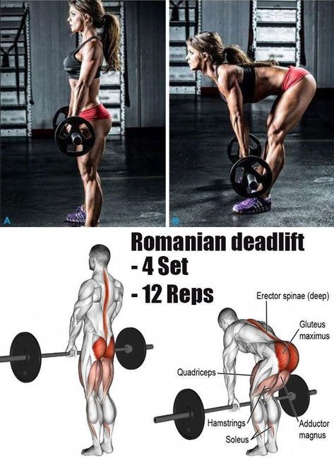 Romanian Deadlift, Powerlifting Training, Hamstring Workout, Leg Training, Glute Workout, Bodybuilding Training, Gym Workout Tips, Lower Body Workout, Glutes Workout