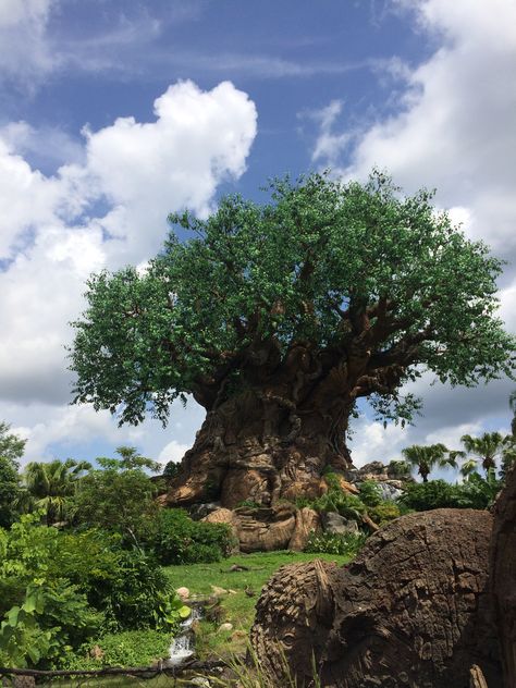 Savannah Painting, Lion King Tree, Animal Kingdom Disney World, Disney Tree, Ice Show, Apartment Renovation, Disney Life, Event Ideas, Set Design