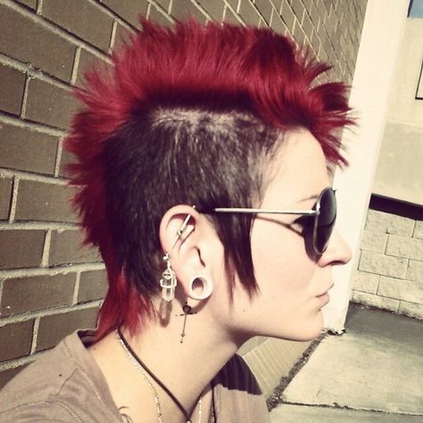 Mohawk With Sideburns, 6g Stretched Ears, Long Hair Shaved Sides, Short Punk Hair, Punk Girls, Fit Inspired, Mohawks, Barbell Piercing, Mohawk Hairstyles