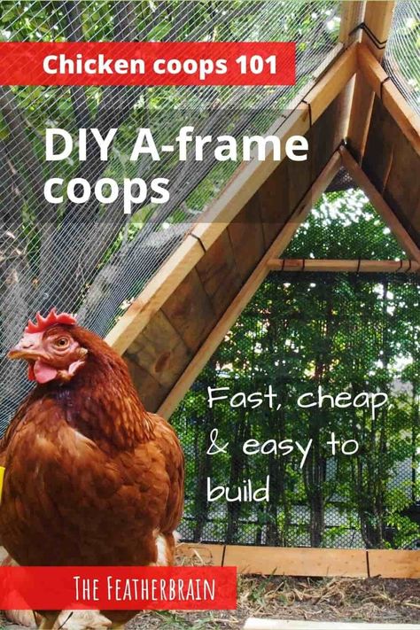 Easy Diy Chicken Coop Plans, Frame Chicken Coop, Decorating Backyard, Coop Layout, Easy Diy Chicken Coop, A Frame Chicken Coop, Chicken Coop Plans Free, Coop Run, Coop Decor