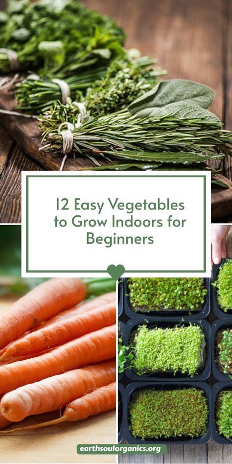 Ready to get your hands dirty—indoors? These 12 vegetables are perfect for novice gardeners looking to grow food at home. You’ll be amazed at how simple it is to cultivate your own salad greens, herbs, and more. Start your indoor veggie journey today and enjoy fresh flavors any time! #vegetablesyoucangrowindoors #easygardening #indoorgardenlife Vegetables To Grow Indoors, Grow Garlic Indoors, Basil Garden, Easy Vegetables, Grow Your Own Vegetables, Growing Vegetables Indoors, Growing Broccoli, Growing Vegetables In Pots, Vegetables To Grow