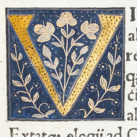 Initial V, Medieval Books, Illumination Art, Calligraphy Alphabet, Medieval Manuscript, Alphabet Art, Illuminated Letters, Calligraphy Letters, Letter V