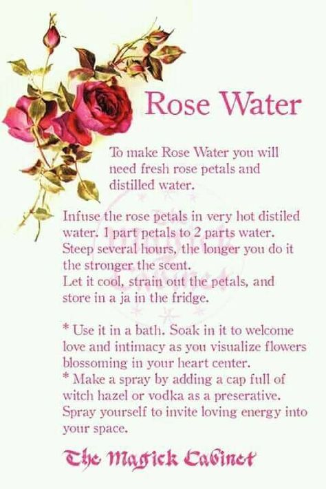 How to make Rose Water Rose Water Recipe, Make Rose Water, Potions Recipes, Magickal Herbs, Witch Herbs, How To Make Rose, Magic Herbs, Magical Herbs, Eclectic Witch