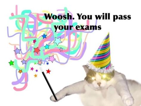 Whoosh. you will pass your exams | Whoosh / вжух | Know Your Meme Exams Memes, How To Pass Exams, Cute Messages, Wholesome Memes, Cute Memes, Love Memes, Cute Texts, Silly Cats, What’s Going On