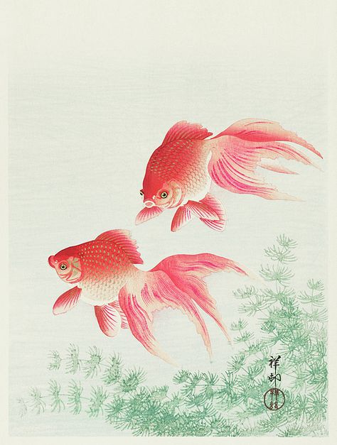 Goldfish Art, Japan Painting, Japanese Fish, Ohara Koson, Watercolor Fish, Japanese Wall Art, Japanese Wall, Rustic Frames, Art Japonais