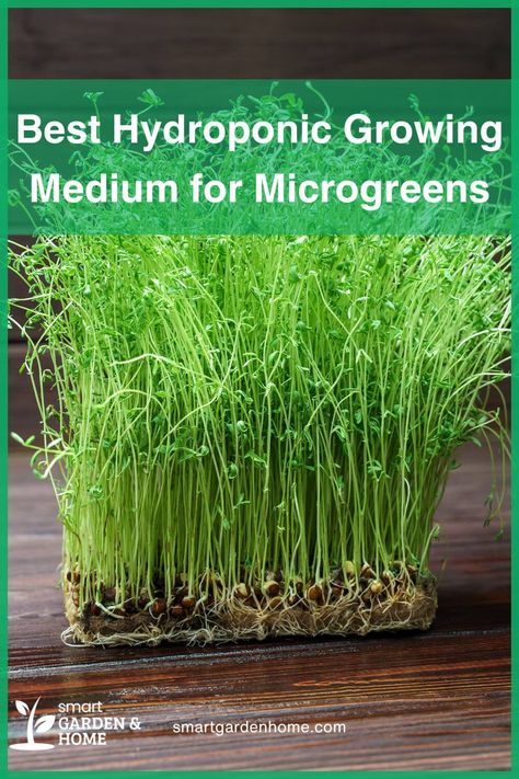 Micro Greens Growing, Microgreens Garden, Composting Methods, Micro Garden, Micro Greens, Coco Coir, Growing Microgreens, Container Garden Design, Hydroponic Growing