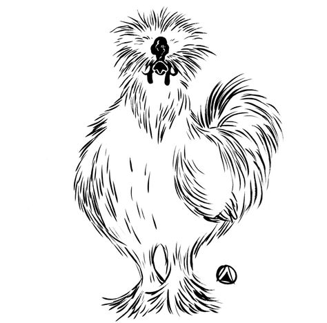 Drawing by "Too much Kale  Salad." Araucana Chickens, Chicken Coloring Pages, Chicken Tattoo, Fluffy Chicken, Chicken Drawing, Chicken Coloring, Silkie Chickens, Chicken Signs, Chicken Crafts