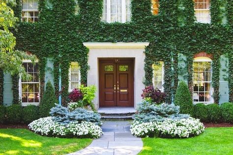 Garden Front Of House, Vertical Garden Plants, Famous Gardens, Driveway Landscaping, Front Garden Design, Garden Plans, Landscape Design Plans, Modern Farmhouse Design, Home Garden Design