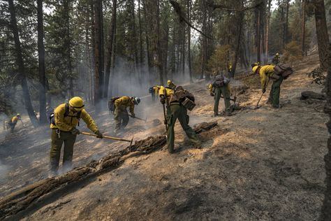 Forest After Fire, Electric Forrest, Us Forest Service Law Enforcement, Conservation Of Forest, Technology Careers, Us Forest Service, Wildland Fire, Wild Fire, Wildland Firefighter