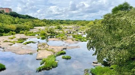 James River Park: Hike a Scenic Riverside Loop in Richmond Texas Beaches, James River, Belle Isle, River Park, Virginia, Hiking, Water