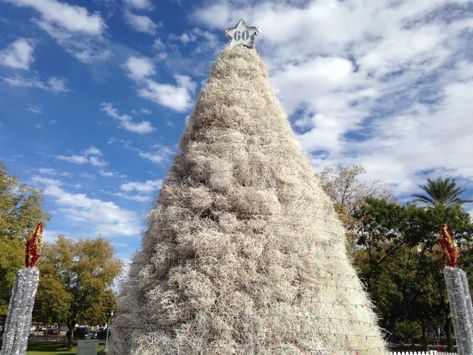 3# Christmas Around the World: Arizona’s Tumbleweed Christmas Tree – RANDOM Times • Chicken Wire Frame, Arizona City, Christmas Around The World, Visit Santa, Unique Christmas Trees, Holiday Music, Beautiful Christmas Trees, Fir Tree, Chicken Wire