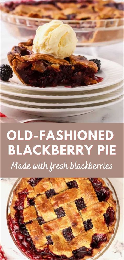 Blackberry Pie Recipe, Berry Pie Recipe, Berry Desserts, Premade Pie Crust, Savory Tarts, Blackberry Pie, Blackberry Recipes, Berry Pie, The Best Dessert