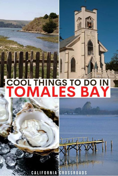 photos of tomales bay, oysters, and church. text reads cool things to do in tomales bay Tomales Bay California, Morro Bay California Things To Do, Dillon Beach California, Usa Vacations, Monterrey California Monterey Bay, California State University Monterey Bay, Monterey Bay Coastal Trail, Tomales Bay, Bodega Bay