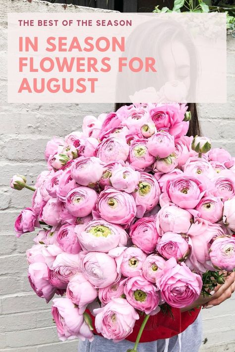 We list our favourite blooms for the month of August. From Ranunculus to Wattle 👉 Read More. August Flowers In Season, Flowers In Season, August Flowers, Cherry Red Color, Month Of August, Wax Flowers, Seasonal Flowers, Little Flowers, Ranunculus