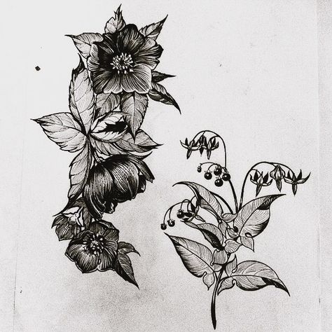 Cutout Aesthetic, Nightshade Flower, Anatomical Heart Drawing, Botanical Tattoo Design, Tattoo Apprenticeship, Skin Paint, Upper Arm Tattoos, Floral Tattoo Sleeve, Plant Tattoo