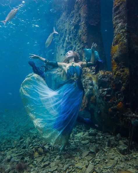 - Hannah Fraser (@hannahmermaid) on Instagram: “Lady of the sea~ by @brettsphoto  Dress by @fireflypath  Shot at Sapona Shipwreck in Bahamas…” Underwater Photoshoot, Underwater House, Breathing Underwater, Under The Water, Underwater Art, 다크 판타지, Fantasy Photography, Underwater Photos, Water Photography