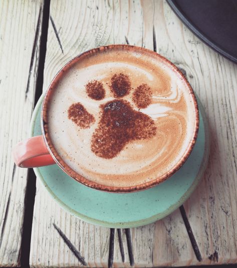 The tastiest coffee for warming up in chilly weather, with a cute bear paw.. Lovely. Coffee is a Mocha from The Cabin in Sheffield, UK. Dog Friendly Coffee Shop Ideas, Dogs And Coffee, Caffe Mocha, Sheffield Uk, Dog Cafe, Muddy Paws, Coffeehouse, Bear Paw, Dog Coffee