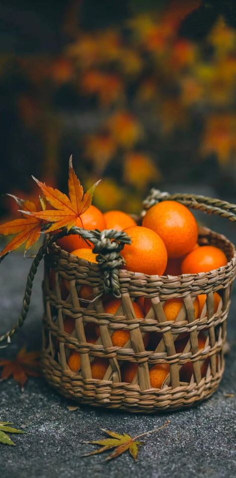 Harvest Photography, Food Photography Fruit, Harvest Basket, Fruits Images, Inspiring Photos, Autumn Magic, Food Photography Inspiration, Fruit Photography, Autumn Table