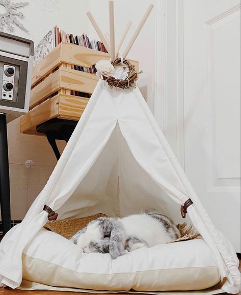 Cute Bunny House Ideas, Rabbit Corner Ideas, Mini Lop Bunny Cage Indoor Rabbit, Bunny Room Aesthetic, Diy Rabbit Bed, Bunny Home Ideas, Bunny Indoor Set Up, Bunny Cage Diy, Diy Bunny Bed