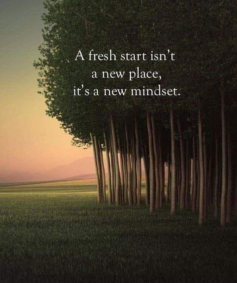 New Beginning Quotes Life, Fresh Start Quotes, Start Quotes, Fresh Quotes, New Mindset, New Beginning Quotes, Motiverende Quotes, New Place, A Fresh Start