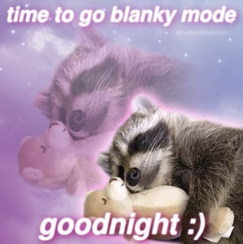 Raccoon Memes, Trash Pandas, Cute Raccoon, Raccoon Funny, Trash Panda, Silly Animals, Racoon, Wholesome Memes, Funny Reaction Pictures