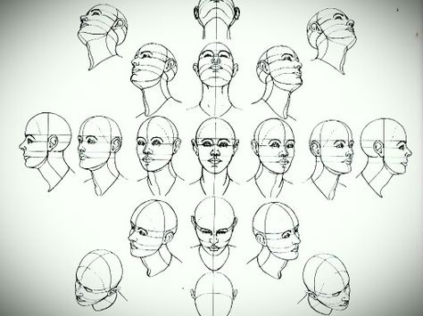 Face perspectives Head Positions, Figure Construction, Procreate Artwork, Drawing The Human Head, Brain Drawing, Konst Designs, Contemporary Realism, Drawing Hair, Drawing Heads