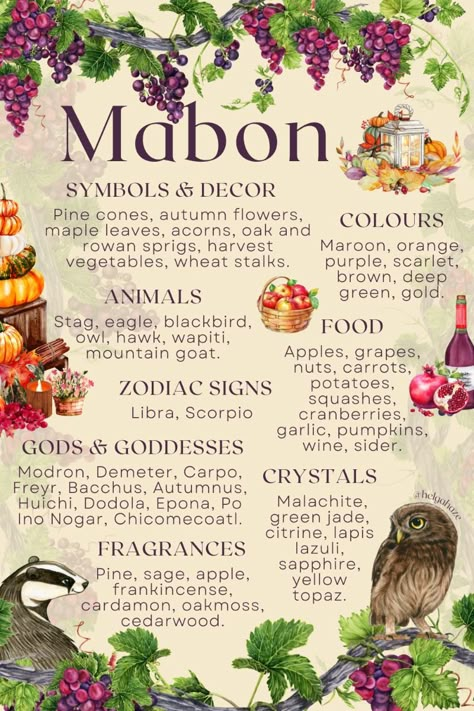 Autumn Equinox. Celebrates nature's bounty, the ending of the harvest season, year results assessment, the second equilibrium of light and dark, marks the start of increasing darkness. #mabon #autumnequinox #pagan #wicca #witch #wheeloftheyear #witchcraft #secondharvest Wicca Holidays, Witches Wheel, Wiccan Sabbats, Green Witchcraft, Wiccan Magic, Autumnal Equinox, Witch Spirituality, Folk Magic, Witch Spell Book