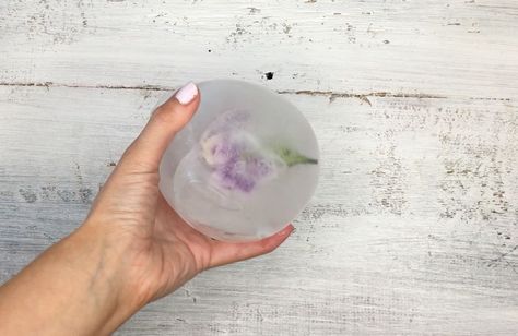 See how to fill a balloon from Michaels to make this gorgeous idea for your next party: Ice Balls Made With Balloons, Floral Ice Balls, Floral Ice Cubes, Flower Ice Cubes, 18th Party, Purple Carnations, Floral Ice, Beverage Bar, Making Water