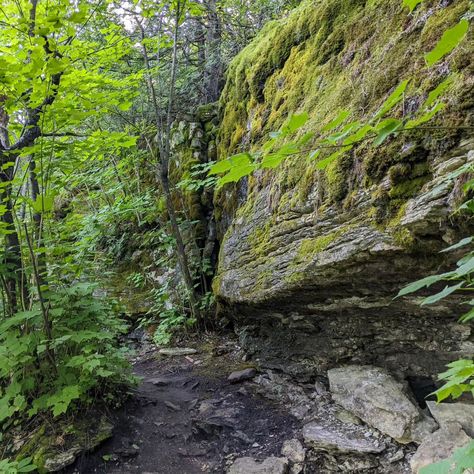 My trip to Manitoulin Island, Ontario. July 2024. #manitoulin #manitoulinisland #ontario #summer #cupandsaucer #canada #canadian #travel #travelphotography #blog #nofilter #wilderness #trail #nature #hiking #lookout #boulder Ontario Summer, Manitoulin Island, Canadian Travel, Nature Hiking, My Trip, Bouldering, Ontario, Travel Photography, Hiking