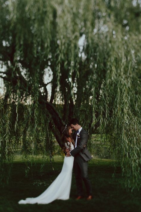 The Barns at Wesleyan Hills, October 2015 Willow Tree Wedding Photos, The Barns At Wesleyan Hills, Willow Tree Engagement Photos, Willow Tree Photoshoot, Wedding Willow Tree, Weeping Willow Wedding, Casual Elopement, Willow Tree Wedding, Farm Wedding Photography