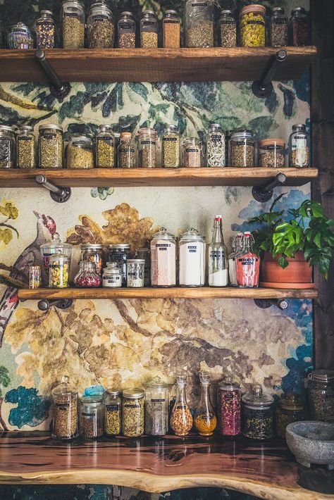 Tiny Wedding Venues, Wedding Venue Virginia, Station Aesthetic, Vaughan House, Apothecary Kitchen, Herbal Kitchen, House Greenhouse, Colored Wallpaper, Witchy Kitchen