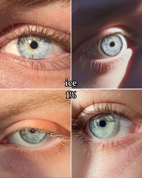 ✨ Eye colors. What’s yours? #eyes #eyetype #eyecolor #eyecolorchange #fyp Different Brown Eyes Colors, Eye Colors For Writers, Types Of Eye Colors, Two Different Eye Colors, Rare Eye Colors, Eye Color Chart, Rare Eyes, Color Eyes, Gender Fluid Fashion