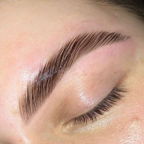 Find out everything about one of the most popular treatments for trendy eyebrows. We bring you Brow Lamination explained in detail. #browlamination #ezebrowlamination #laminatedbrows #laminatedezebrows #browlift #browperm #ezebrowperm #pmuhub Trendy Eyebrows, Eyebrow Lamination, Sugaring Hair Removal, Brown Eyebrows, Thick Brows, Sugar Waxing, Eyelash Lift, Eyebrow Tinting, Brow Wax