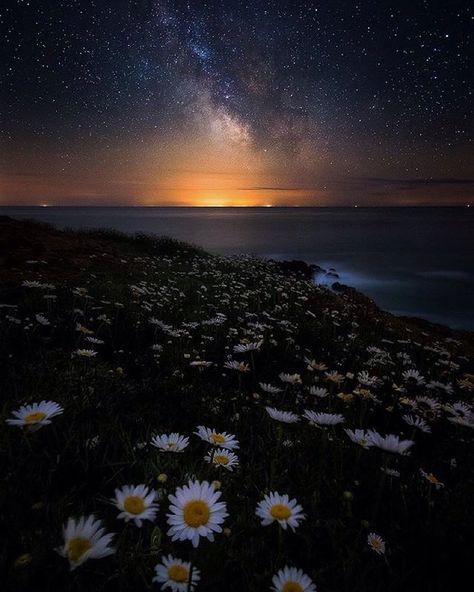 Photography by: @marcwhiteheadphotography Location: Channel Islands UK  Please show some Instalove and visit this artist blissful gallery ______________________ Selected by: @elysabete  Tag: #ig_bliss  Check out our friends: @resorts_and_places & @benny_refaeli @big_shotz & @kobi_refaeli  by ig_bliss Channel Islands Uk, Night Scenery, Landscape Photography Nature, Night Landscape, Pretty Landscapes, Moon Photography, Sunset Wallpaper, Channel Islands, Instagram Photography